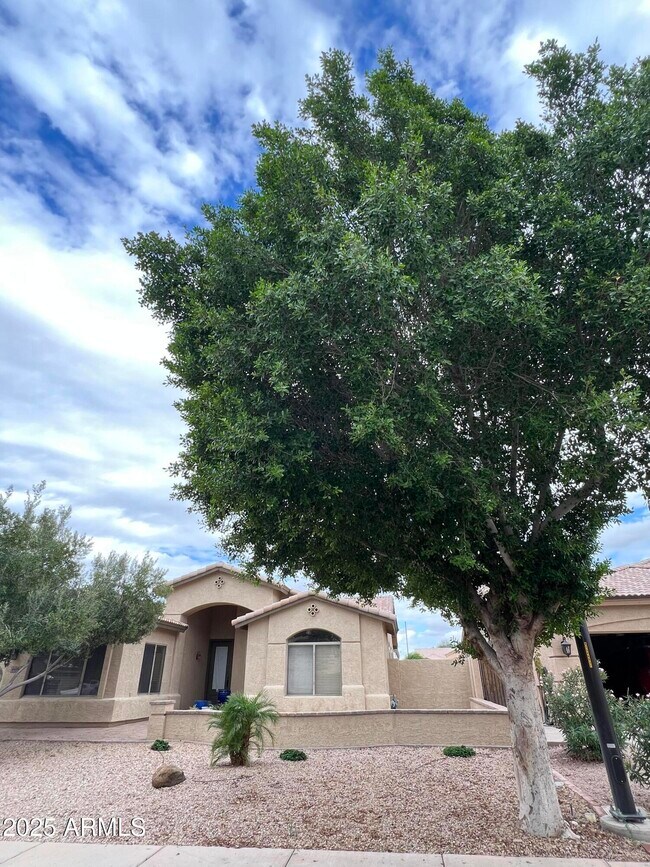 Foto del edificio - 4484 E Redfield Ct