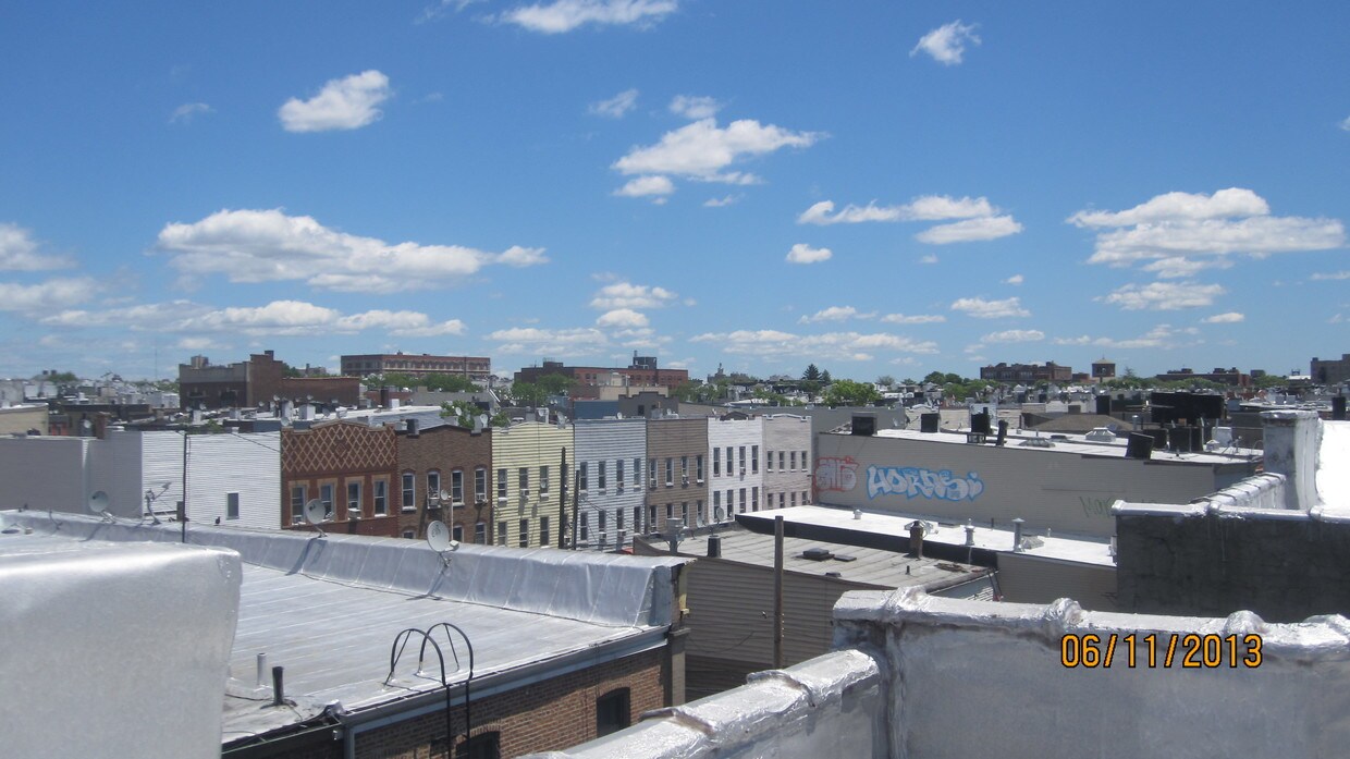 Primary Photo - 81 Pulaski St