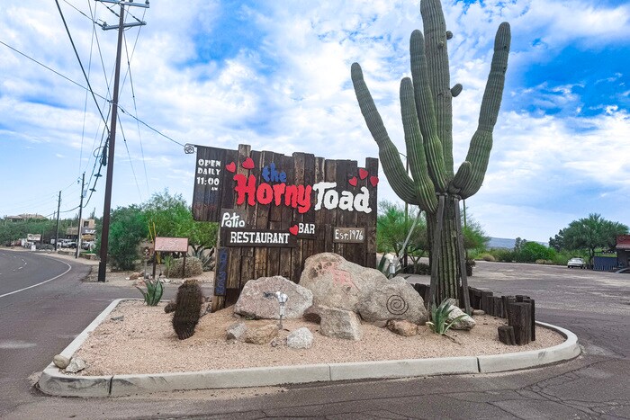 Foto principal - 3Bed/2Bath Home in Cave Creek! Move-In Rea...