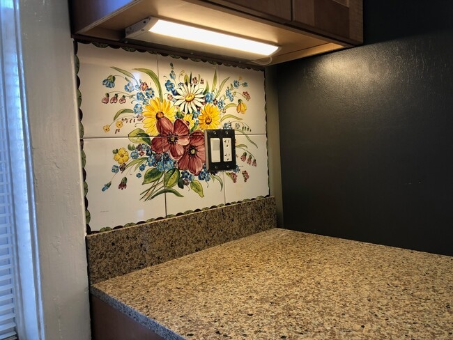 Stone counters - 1308A Tower Grove Ave