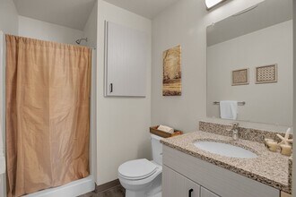 Interior Photo - Cherry Springs