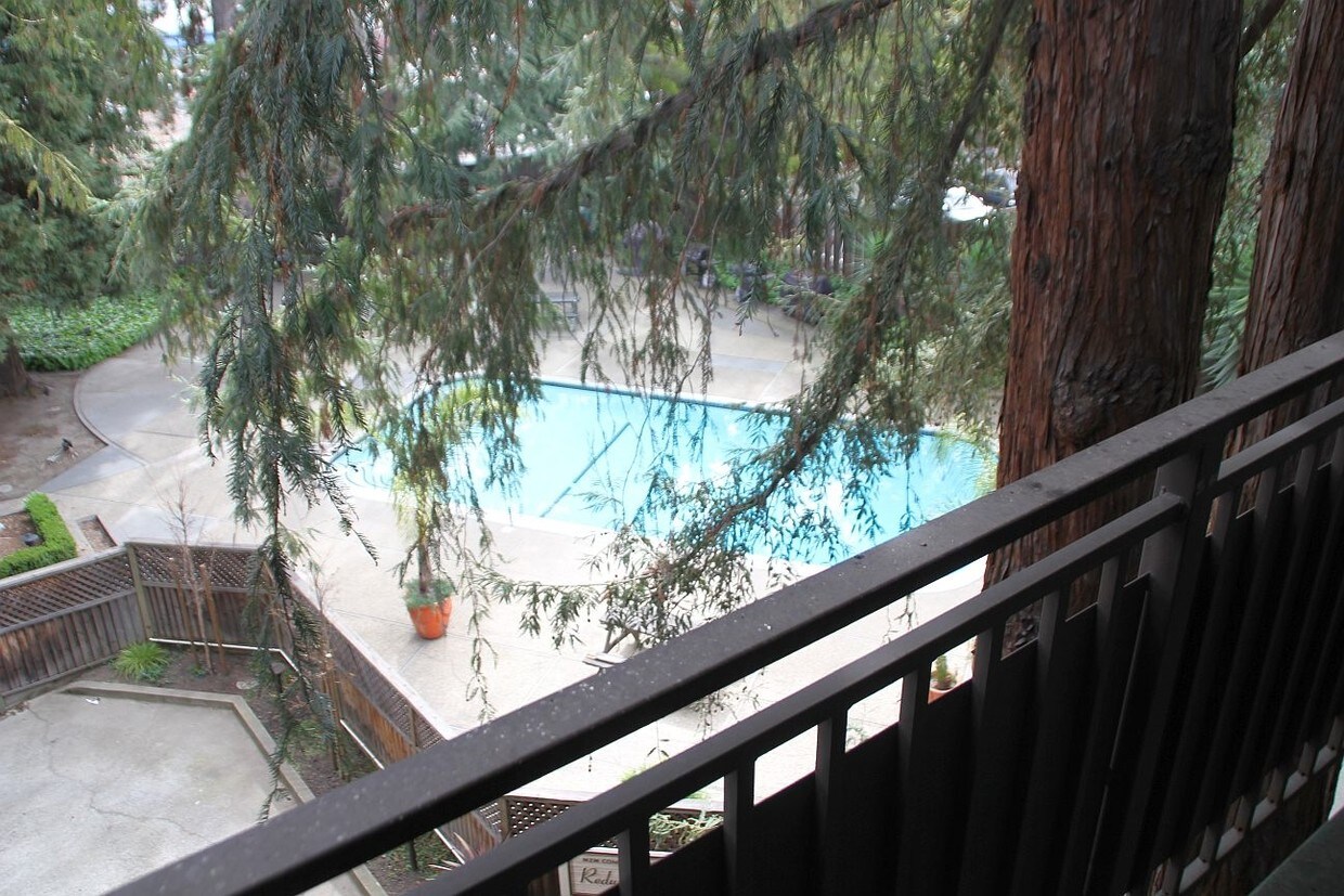 Foto del edificio - Redwood Acres Condos