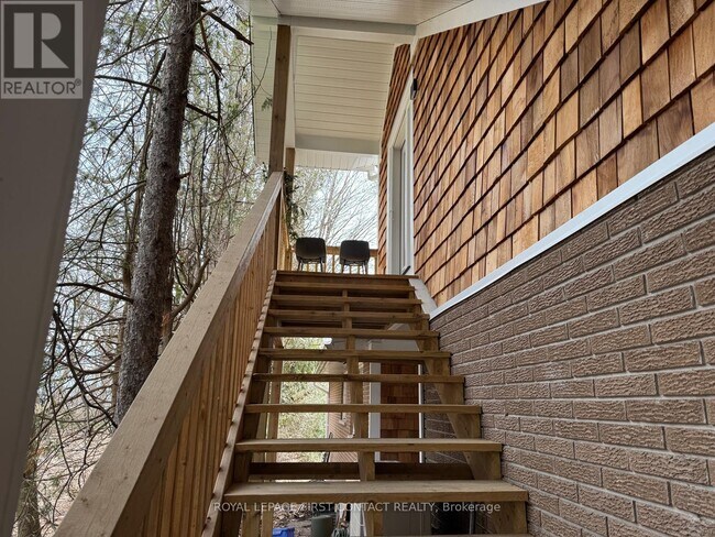 Photo du bâtiment - 117 Collingwood St
