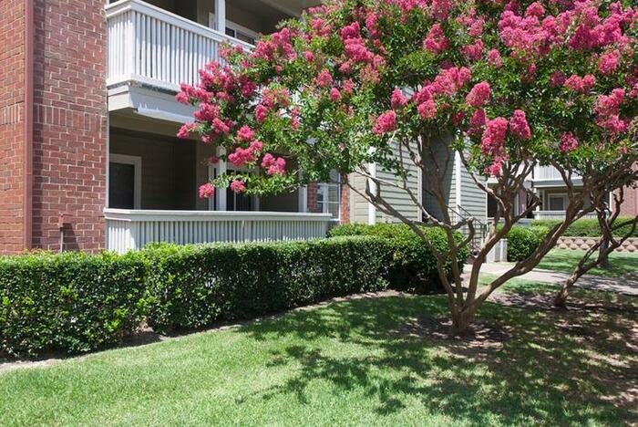 Foto principal - 18600 Dallas Pkwy