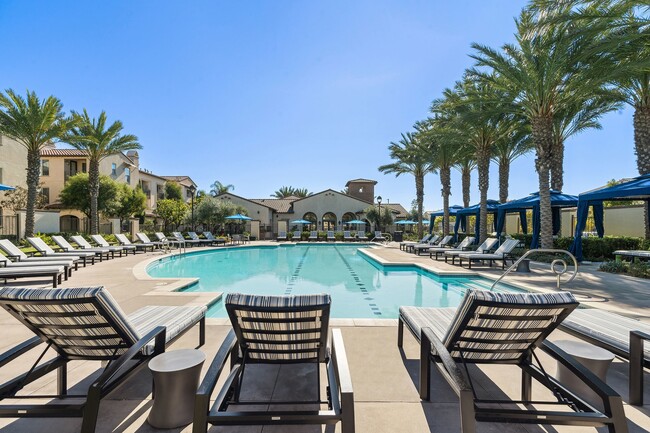 Pool with Seating - AMLI Spanish Hills