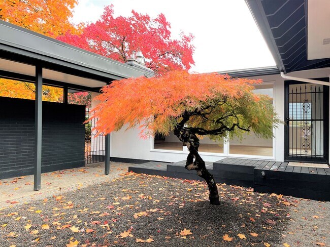 Building Photo - Beautiful 3 Bed + 2.5 Bath Remodeled Mid-C...