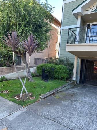 Foto del edificio - 1405 Oak Grove Ave