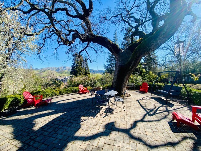 Building Photo - Stunning Estate Inside Gated Road with Pool & Game Room Available in Alamo!