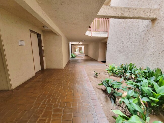 Foto del edificio - 2 bed/ 1 bath with big Backyard in Escondido