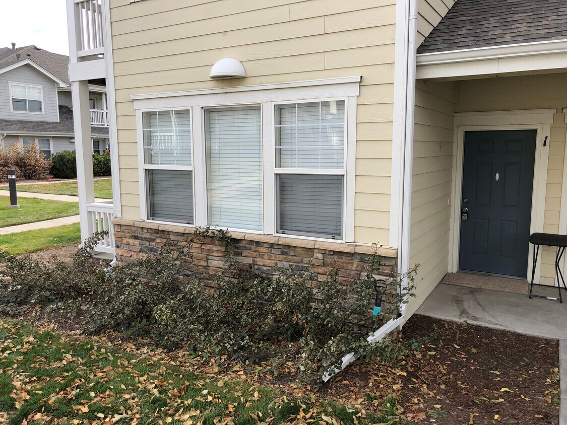 Main entrance - 3752 Ponderosa Ct