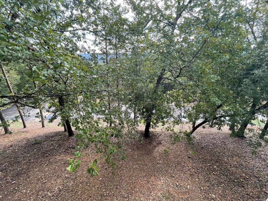 502 Morning Sun Dr, Birmingham, AL 35242 Townhome Rentals in Birmingham AL