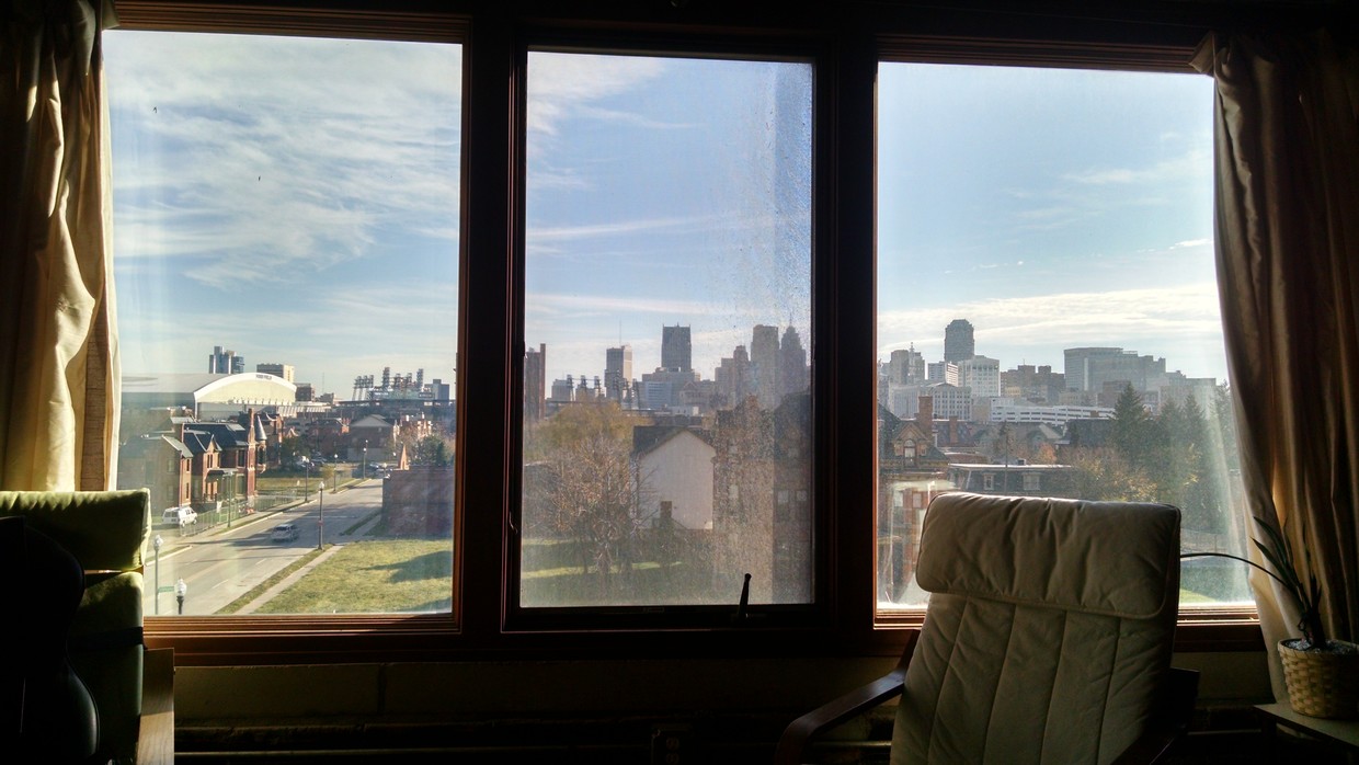 view from kitchen/living room - 2915 John R St