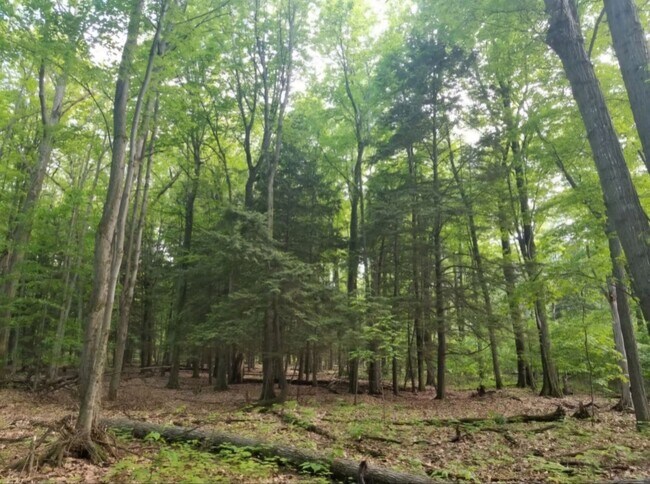Fotografía del edificio - 2050 N Haze Rd