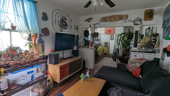 Foto del edificio - 1521 Pauline St