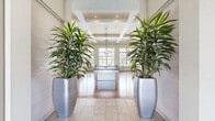 Located at 357 Windigrove Dr in Waynesboro, Virginia, this single-floor community clubhouse offers a generously sized, thoughtfully designed gathering space that seamlessly blends comfort and functionality. The entrance foyer greets visitors with soaring coffered ceilings, large-format tile flooring, and dramatic tall potted palms that frame a welcoming reception area bathed in natural light.

The main open-plan living area features rich hardwood flooring, a striking white stacked-stone fireplace wall with a mounted flat-screen TV, and an arrangement of plush seating that invites relaxation. Large glass double doors open directly to an outdoor pool area, flooding the interior with sunlight and providing easy indoor-outdoor connectivity.

A standout billiards lounge anchors one wing of the space, complemented by teal accent chairs and casual café-style seating near oversized windows. Adjacent to it, a fully equipped demonstration kitchen showcases vibrant teal subway tile backsplash, dark wood cabinetry, a curved quartz-topped island with bar seating, and sleek pendant lighting.

A carpeted reading and activity nook offers a quieter retreat, furnished with a bookshelf, a bold teal lounge chair, and a small table — ideal for informal gatherings. A separate carpeted waiting or meeting area provides additional flexible space with natural window light and curated wall art throughout.