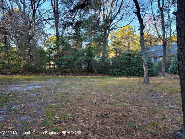 Building Photo - 14A Ivy Ct