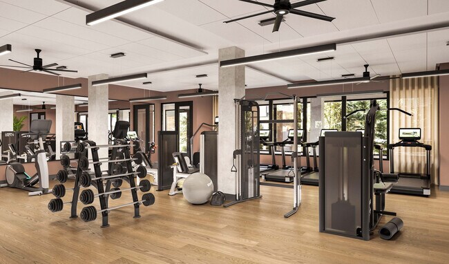 Gimnasio moderno con equipos de última generación, grandes espejos y abundante luz natural para una experiencia de entrenamiento energizante. - Bellamy Minnetonka
