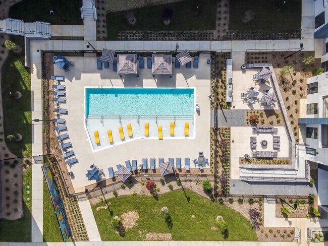 Área de piscina - Amaze at NoDa