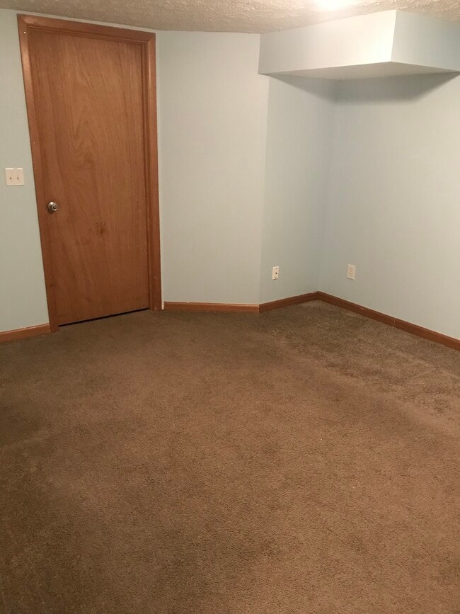 Partially finished basement - 206 Macfalls Way