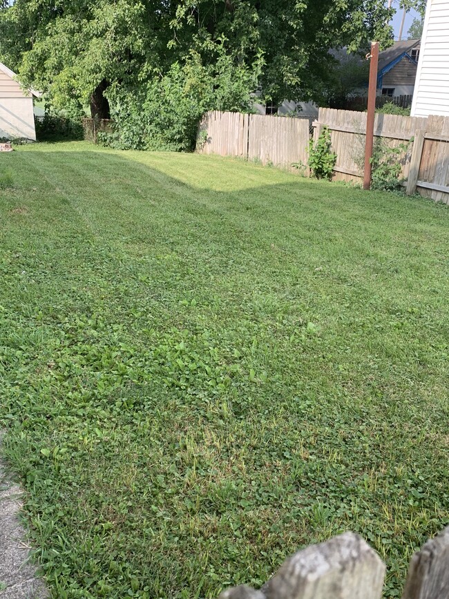 Back yard - 915 E Pearl St