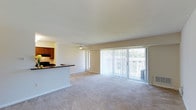 This single-floor space offers a clean, open layout that connects the kitchen and living area in a seamless, functional design. The living area is finished with wall-to-wall carpeting in a neutral tone, creating a warm and inviting atmosphere throughout. A ceiling fan is centrally positioned overhead, providing both practical air circulation and a subtle design accent.

The kitchen is situated adjacent to the living space and is defined by rich, warm-toned wood cabinetry paired with a dark countertop that extends to form a breakfast bar or pass-through — an ideal feature for casual dining or entertaining. A cooktop and range hood are visible, indicating a fully functional cooking area.

Natural light is a standout feature of this space. A large sliding glass door, dressed with vertical blinds, spans much of the exterior wall and opens to an outdoor area, flooding the interior with daylight and providing easy access to the outside. An additional window further enhances the bright, airy feel of the room.

The walls are finished in a soft, neutral tone that complements the light-filled environment and contributes to the overall sense of openness. The layout is straightforward and versatile, making it well-suited for a variety of furniture arrangements and lifestyle needs.