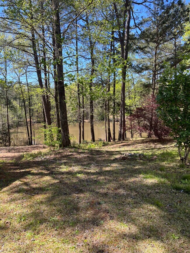 Lago con zona de pesca - 358 Skinner Rd