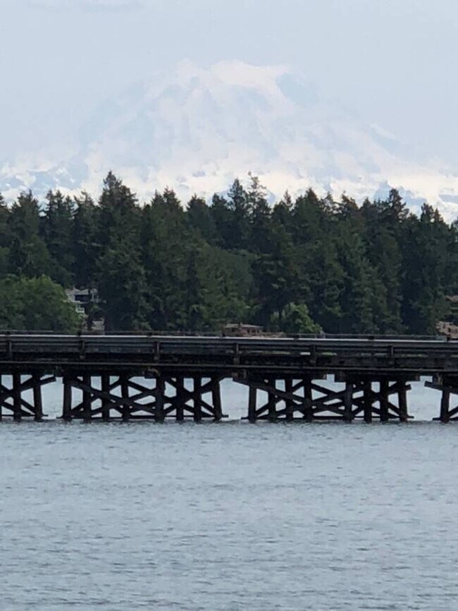 Mt Rainier Sunrise views - 9909 Lake Steilacoom Dr SW