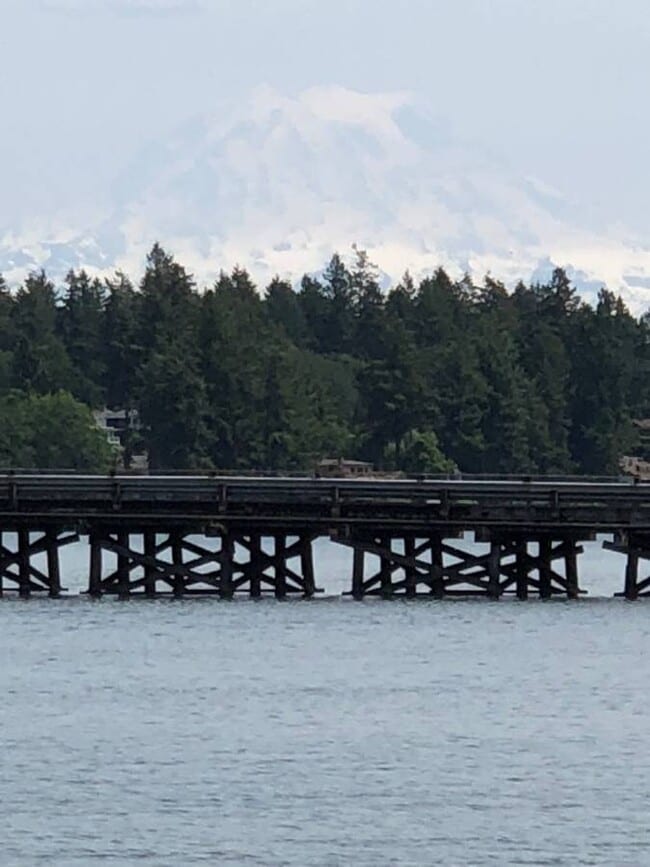 Mt Rainier Sunrise views - 9909 Lake Steilacoom Dr SW