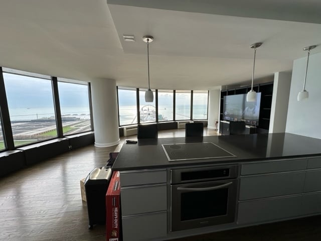Building Photo - 505 N Jean Baptiste Pointe du Sable Lake Shore Dr