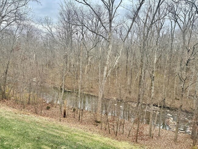 Photo - 1632 Shady Cove Ln Townhome