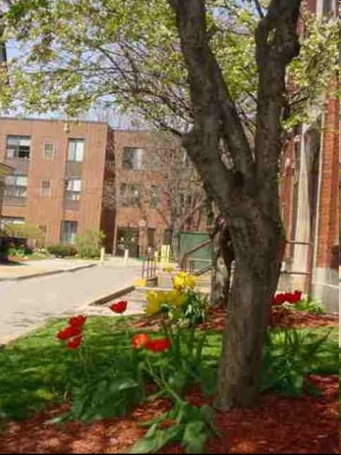 Building Photo - E.B. McNitt Apartments