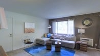 This single-floor space offers a comfortable and contemporary living environment designed with both function and aesthetics in mind. The living room serves as the focal point of the space, featuring a large sectional sofa adorned with an array of decorative pillows in rich tones of blue, gold, and earth hues. A bold blue floral area rug anchors the seating arrangement, adding a vibrant splash of color against the neutral flooring. A pair of wooden coffee tables with a layered design provides a stylish yet practical centerpiece for the room. Natural light pours in through a generously sized window dressed with sheer white curtains and dark rod hardware, creating a bright and airy atmosphere. An accent wall in a deep taupe tone contrasts elegantly with the soft white of the surrounding walls, adding depth and dimension to the room. A sleek, modern floor lamp provides additional illumination, while a sculptural wire accent chair adds an artistic touch to the corner of the room. A textured abstract wall painting further enhances the curated, gallery-like quality of the space. Overall, the living area strikes a balance between casual comfort and modern design sensibility.