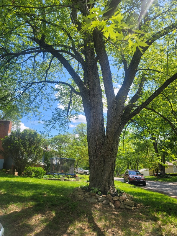 Foto del edificio - 1633 N Rogers St