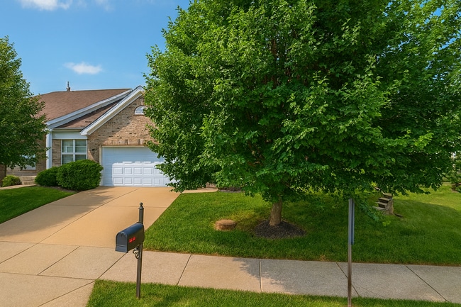 Foto del edificio - 287 Arbor Pl Ln