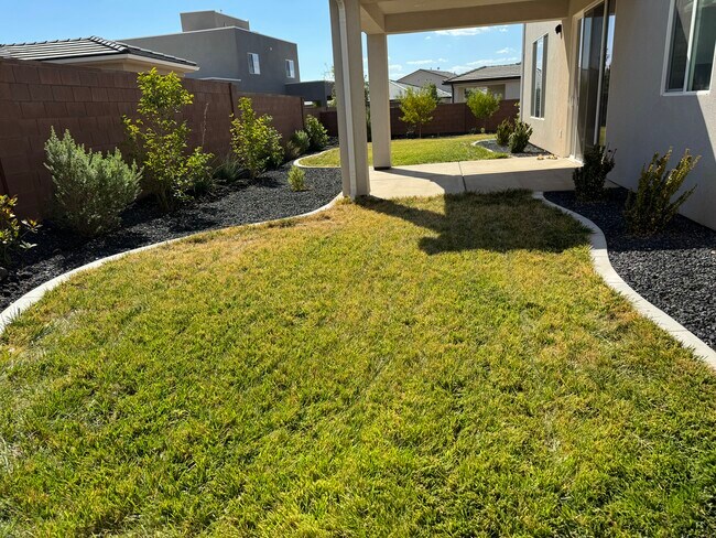 Building Photo - 1262 E Daylily Dr