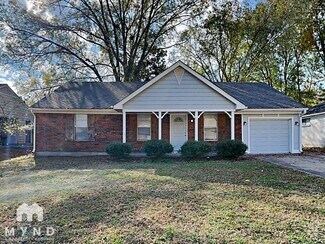 Building Photo - 3403 Brockcrest Cove