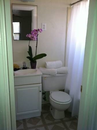 Foto del interior - Pinetree Gardens