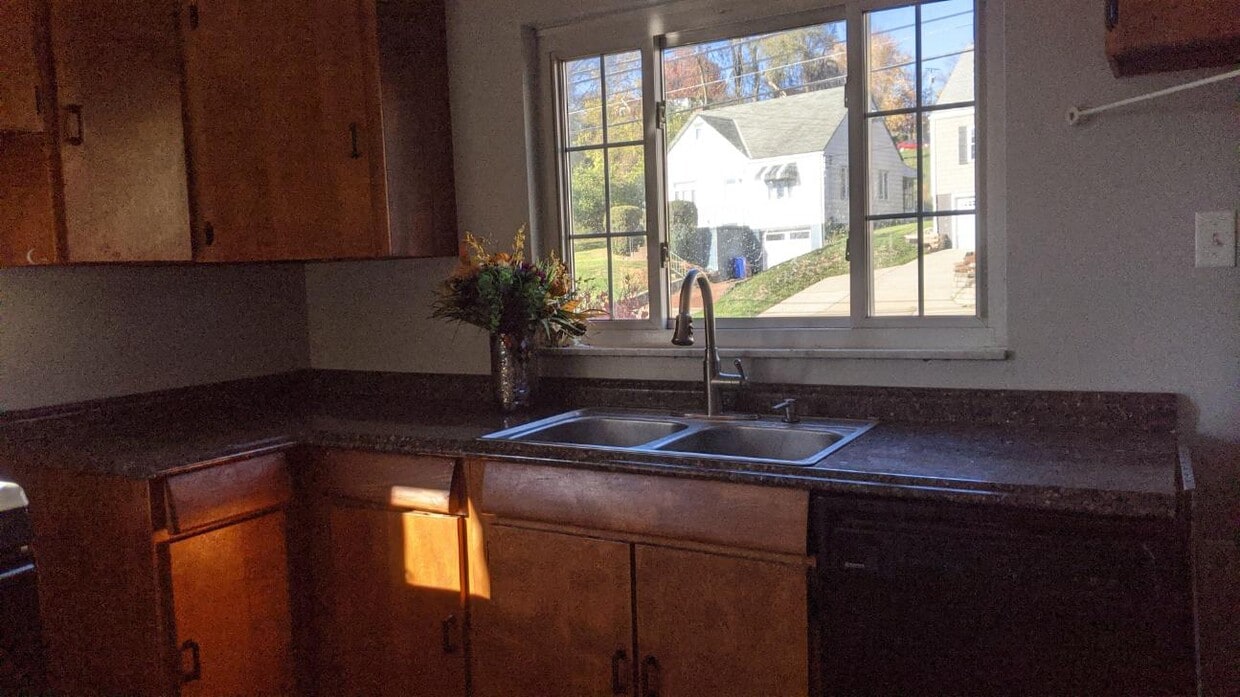 Kitchen - 345 Mansfield Ave