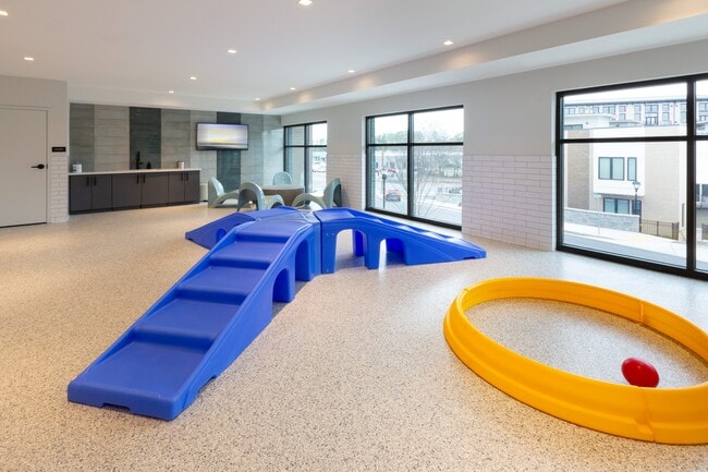 Indoor Pet Playground - Bexley Chamblee