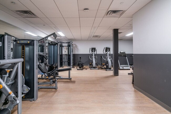 Interior Photo - Luna on Pine