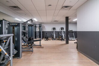 Interior Photo - Luna on Pine