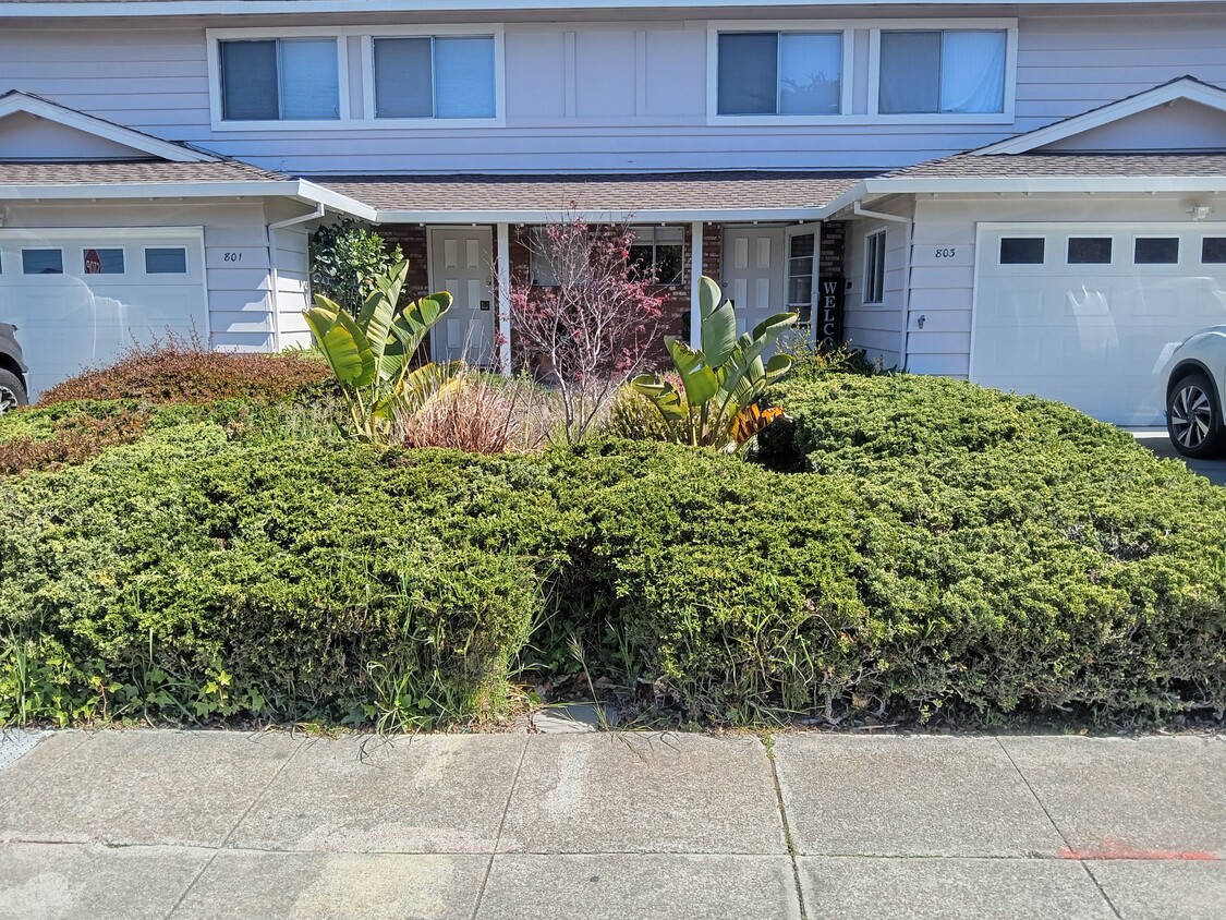 Primary Photo - 803 Comet Dr