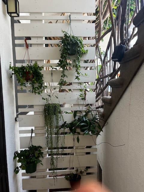 Plant Wall - 1047 Lincoln