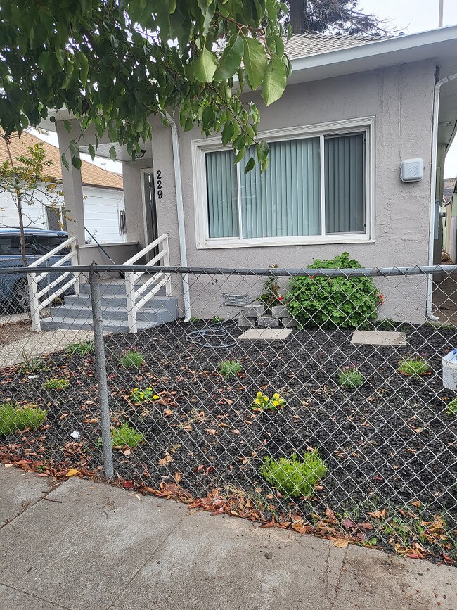 Building Photo - 229 Bissell Ave