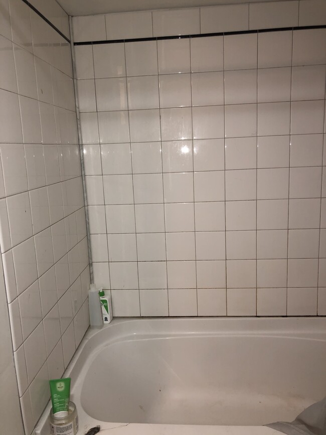 Downstairs bathroom - 9 Hudson Pl