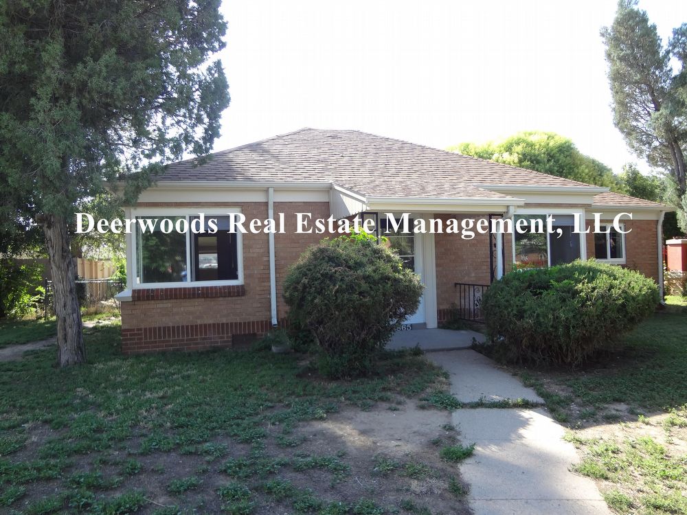 Primary Photo - 2865 Olive St
