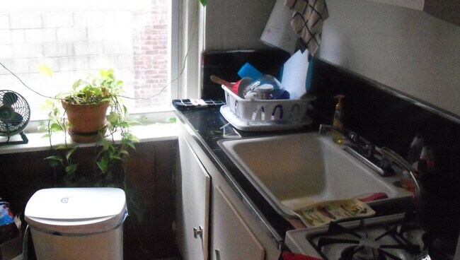 Building Photo - Beautiful Studio Available 6/1