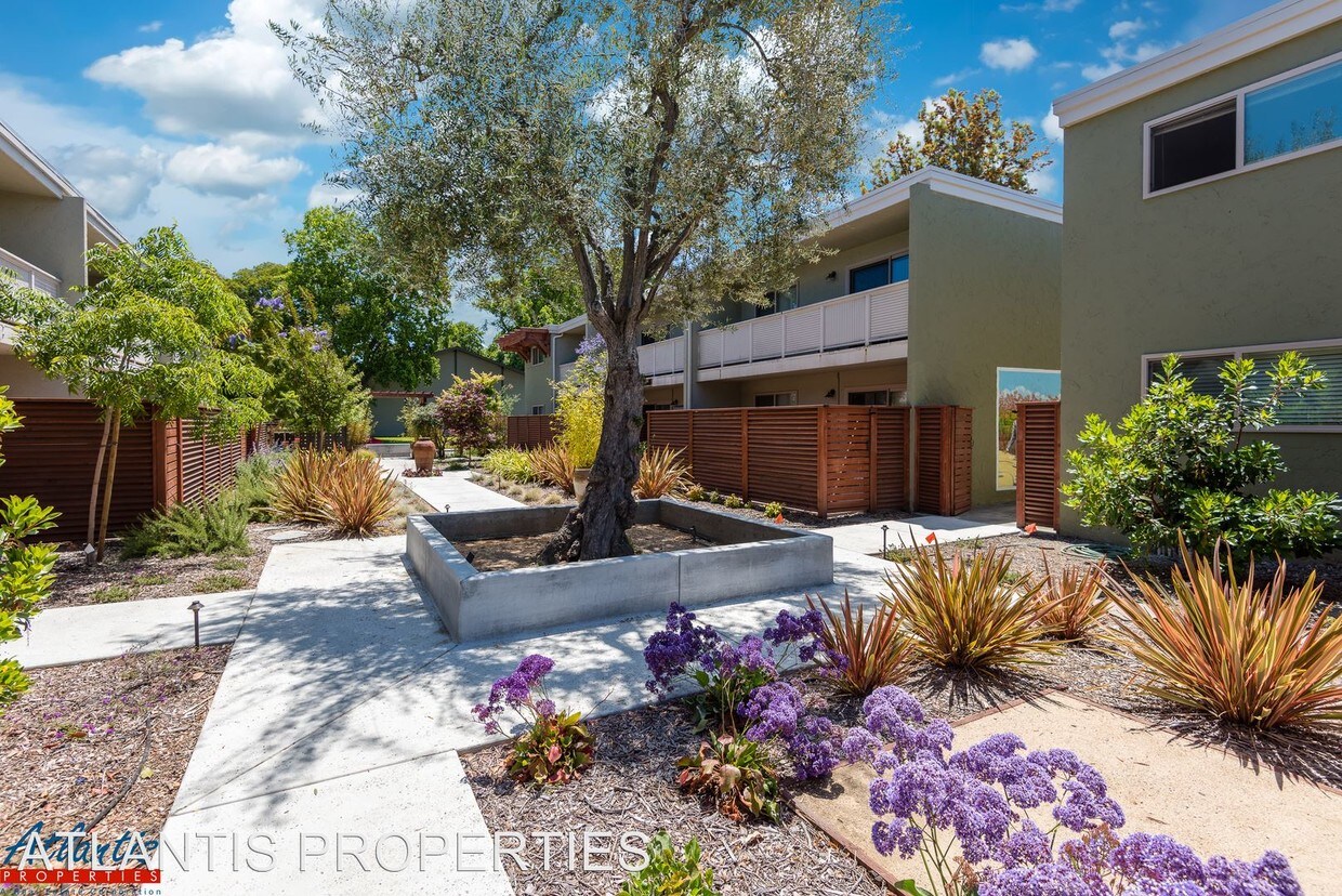 Building Photo - 457 Acalanes Dr