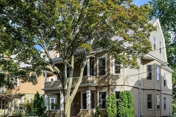 Primary Photo - 4 br, 2 bath Apartment - 56 Lowden Ave # 2C