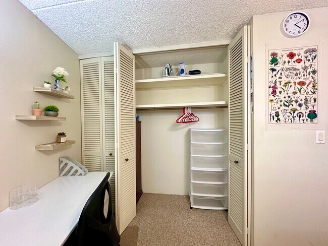 Plenty of storage closet - 469 Ena Rd